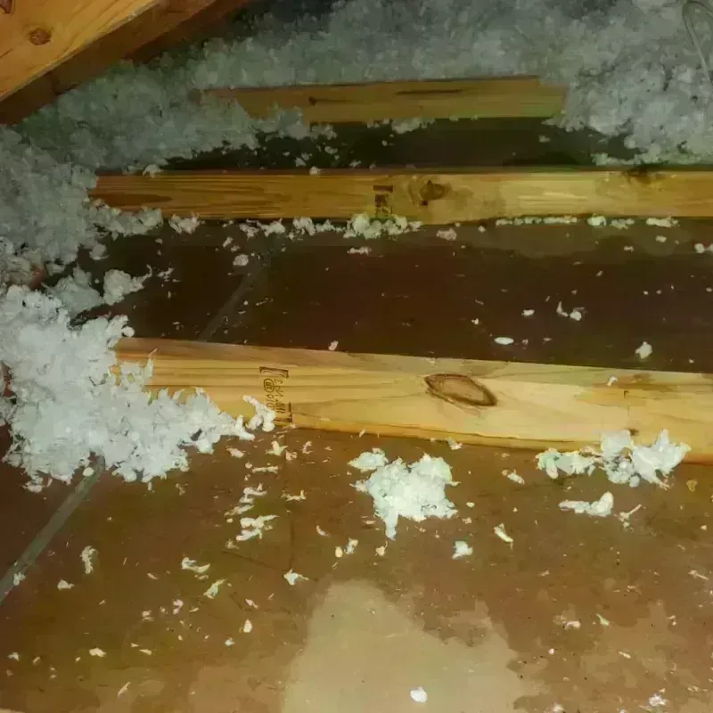 Attic Water Damage in Progress, PA